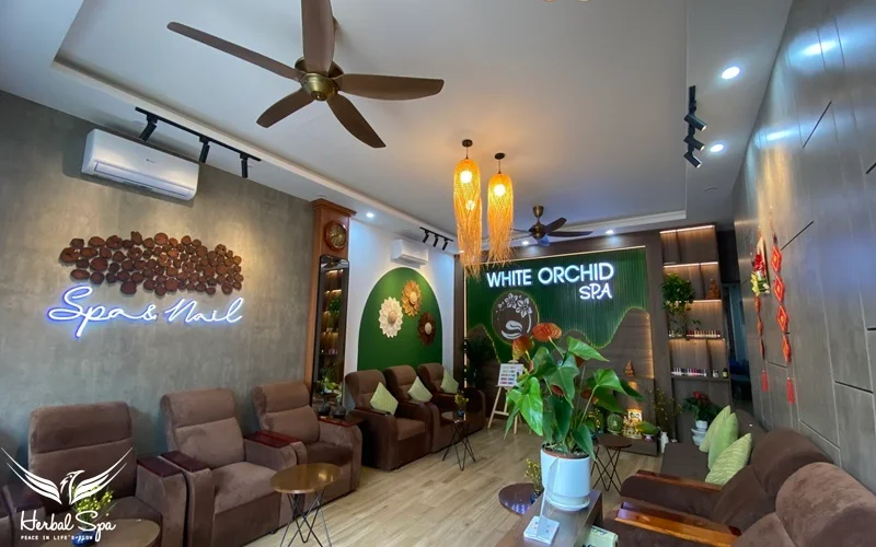 White Orchid Spa 的大廳充滿綠色