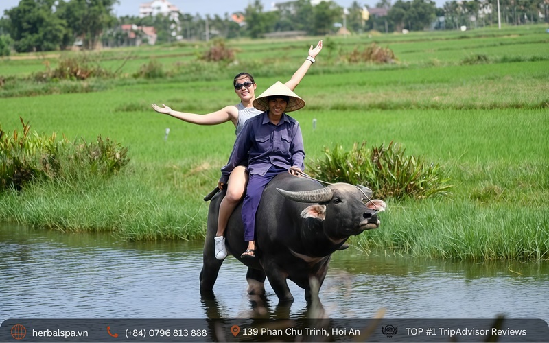 Water Buffalo Riding Experience