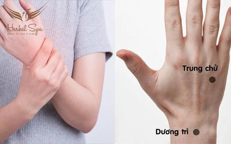 Huyệt dương trì
