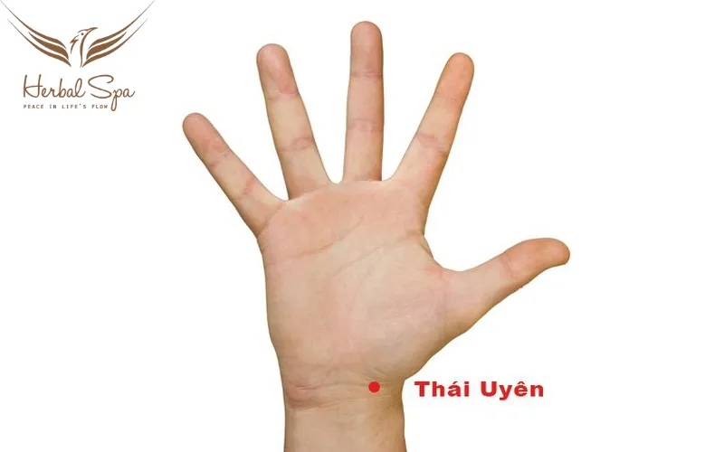 huyệt thái uyên