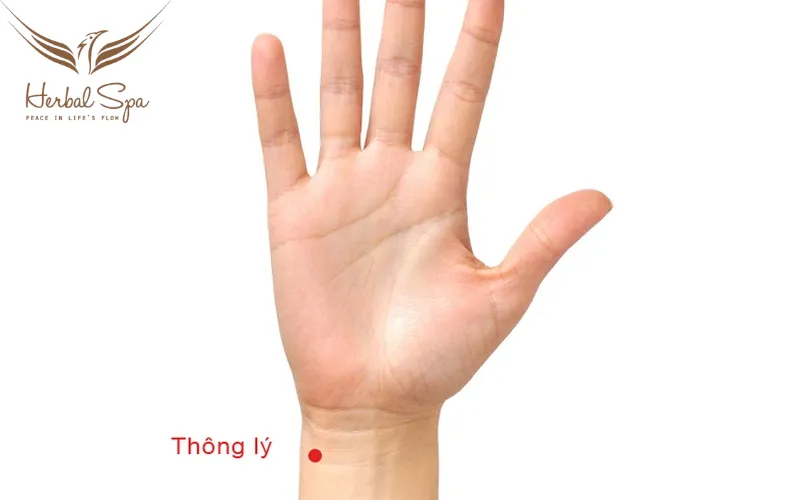 Huyệt thông lý