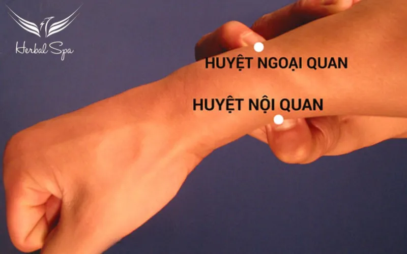 huyệt ngoại quan