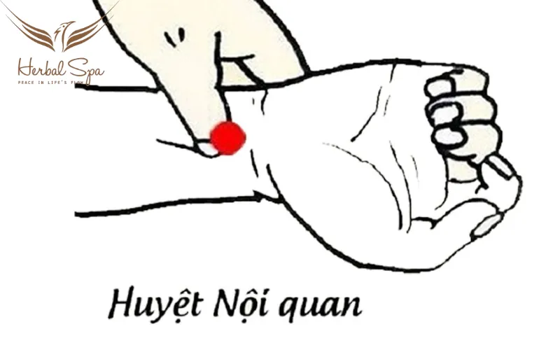 Huyệt nội quan
