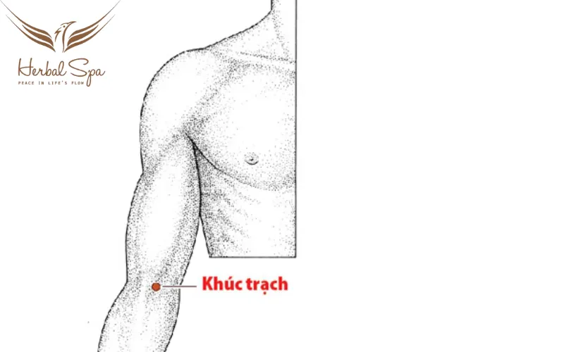 Huyệt khúc trạch