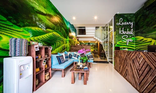 岘港Herbal Spa的分店1