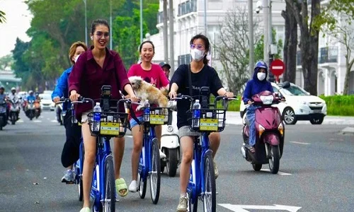 Những du khách quốc tế thường chọn xe đạp để enjoy với chuyến du lịch Đà Nẵng