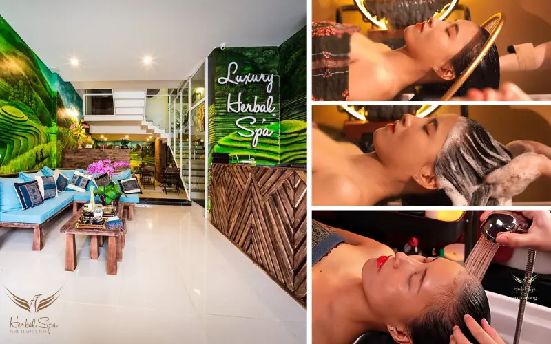Herbal Spa Đà Nẵng - địa chỉ gội đầu dưỡng sinh uy tín