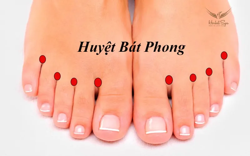 massage bấm huyệt 