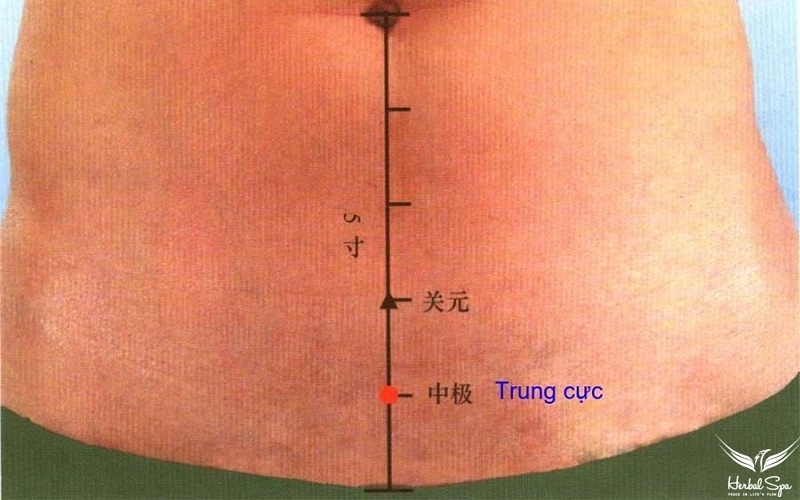 Vị trí huyệt Trung Cực