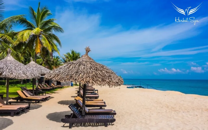 an bang beach vietnam