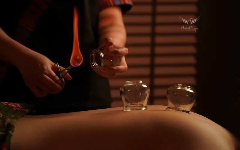 Cultural heritage of Vietnamese medicinal practices