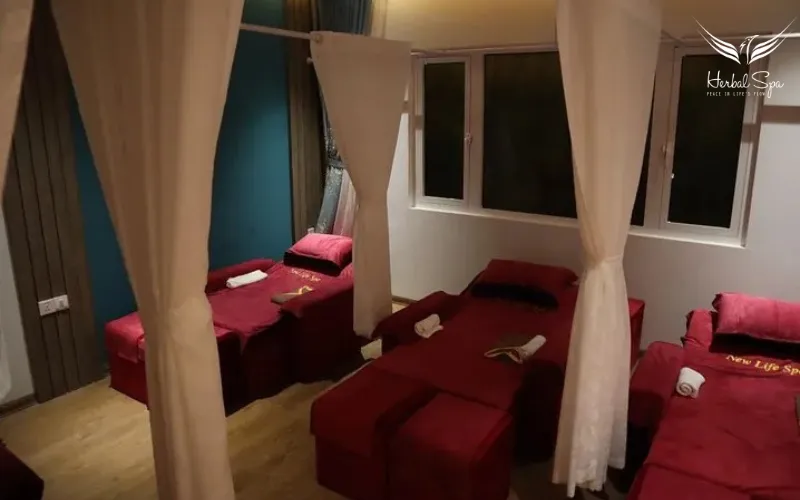 New Life Spa - Massage trị liệu Đà Nẵng chuyên cổ vai gáy