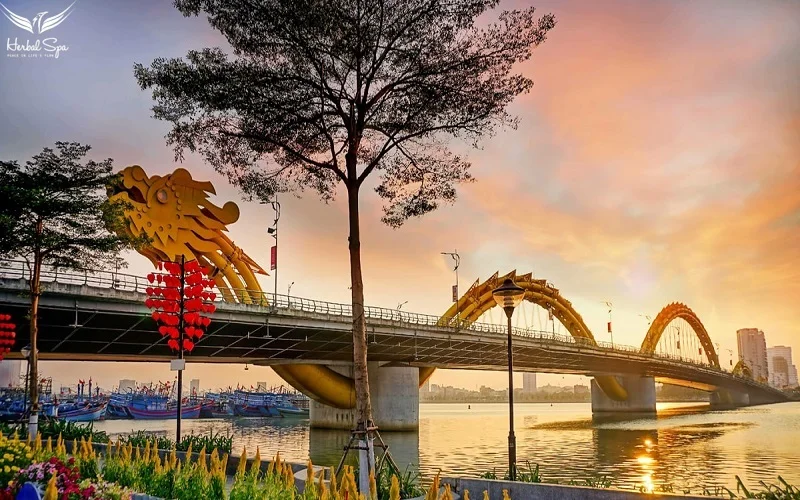 dragon night market