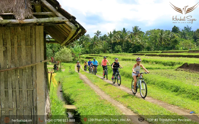 places to visit in hoi an vietnam