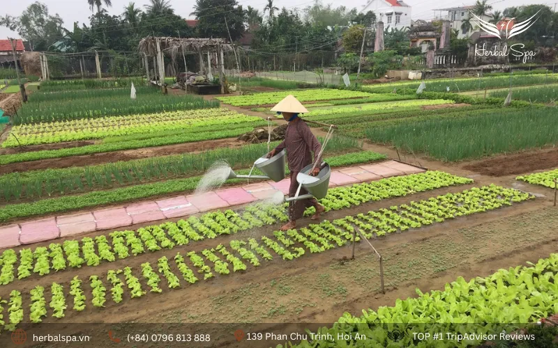 places to visit in hoi an vietnam