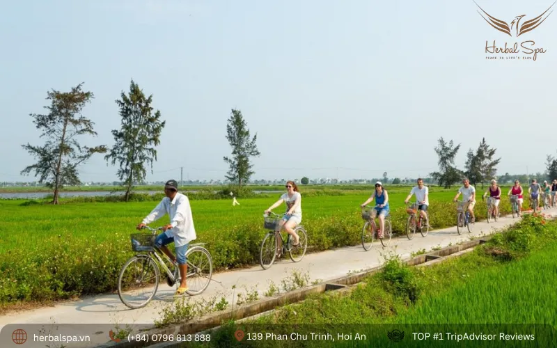 what to do in hoi an vietnam