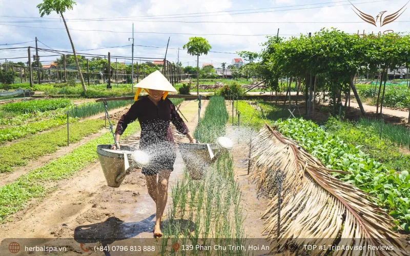 things to do in hoi an vietnam