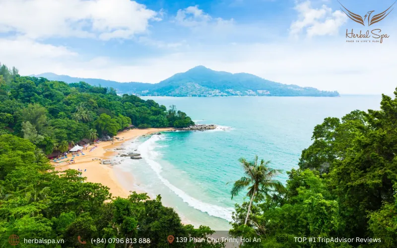 things to do in hoi an vietnam