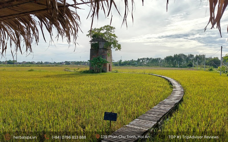 Outside Lo Gach Cu, it looks like an old, mysterious house