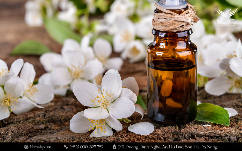 Tinh dầu hoa nhài có tác dụng gì