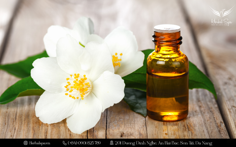 Tinh dầu hoa nhài có tác dụng gì